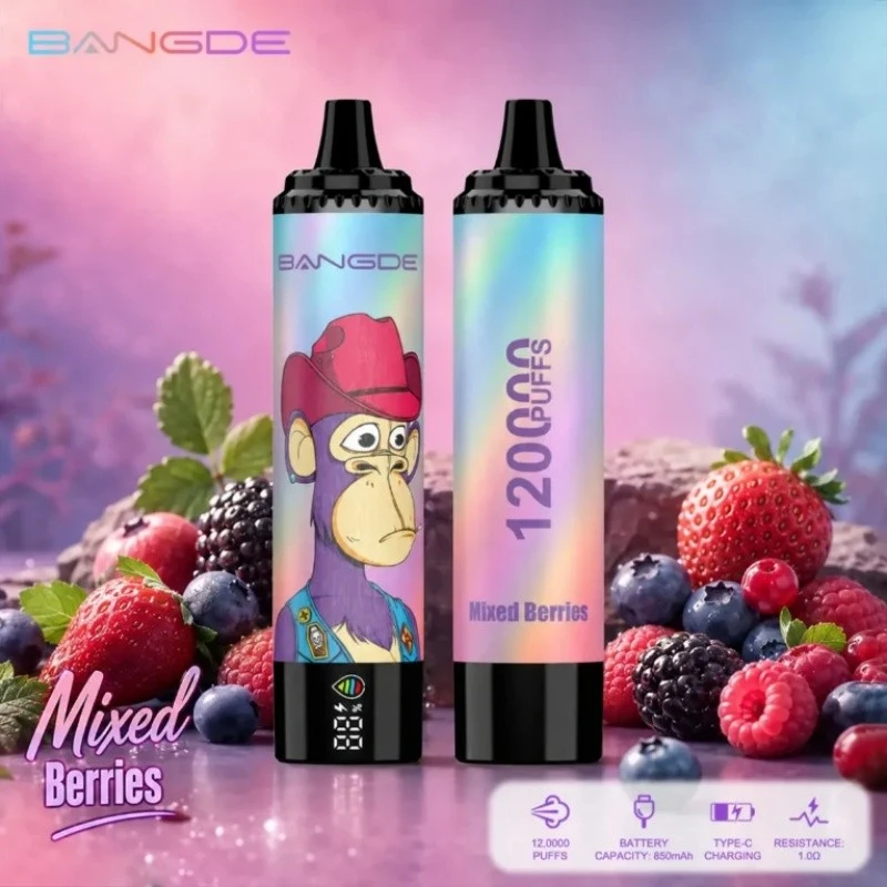 Bang DE 120K Puffs suppliers