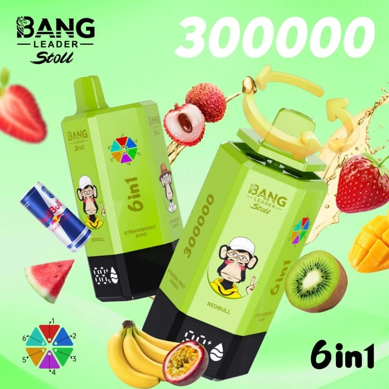 Bang Leader 300k puff factory