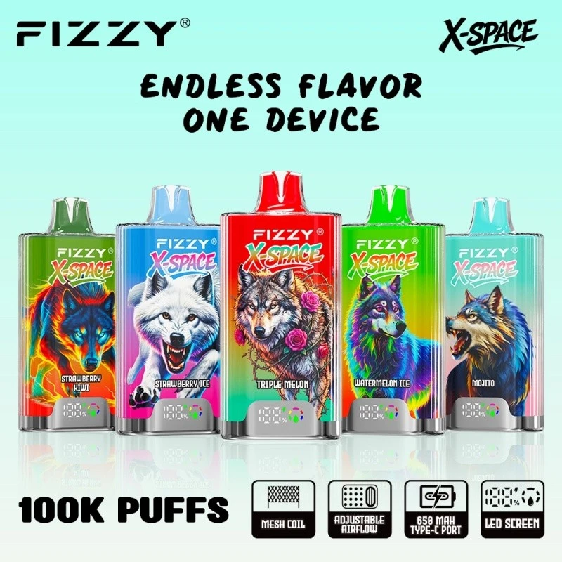 Fizzy X-Space 100K Puffs best
