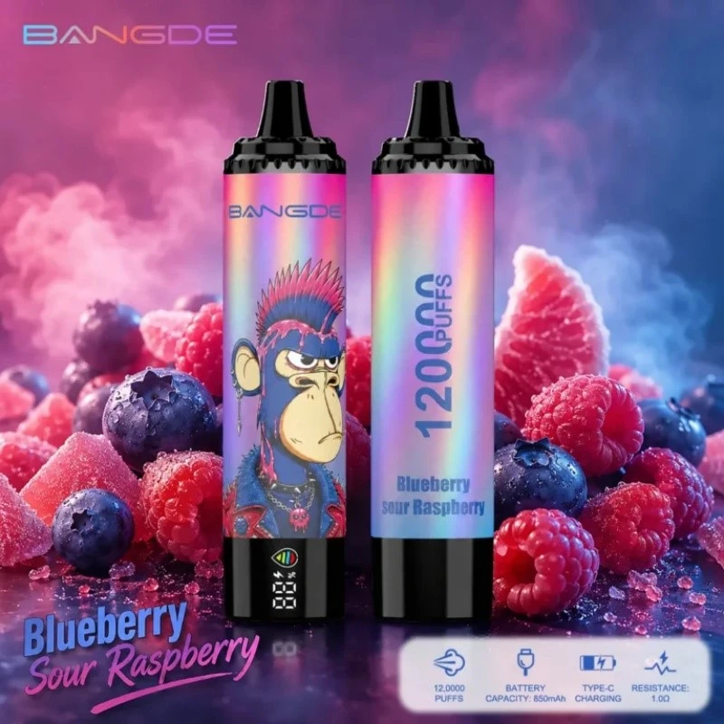 bang-de-120k-blueberry-sour-raspberry bang-de-120k-blueberry-sour-raspberry