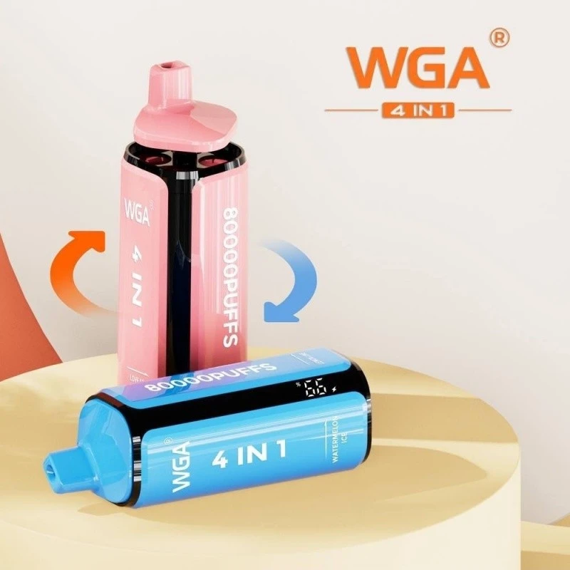 WGA 80K Puffs 4 In 1 best